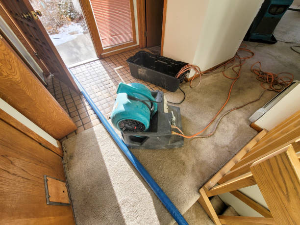 Best Water damage repair service  in USA